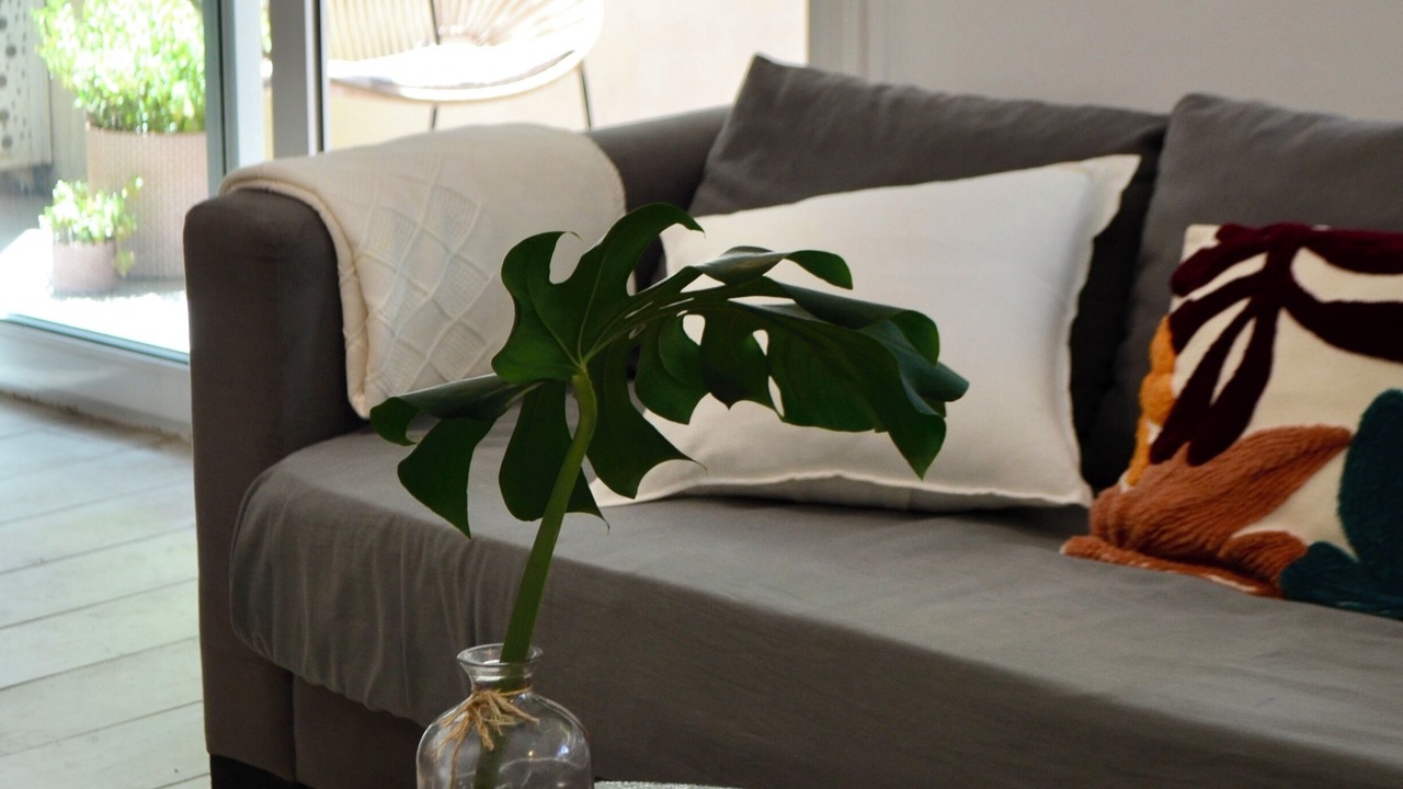 Photo of Livingroom in Belgrano