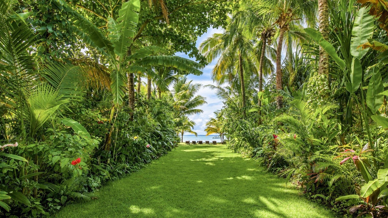 Photo of Outdoor in Barra Grande