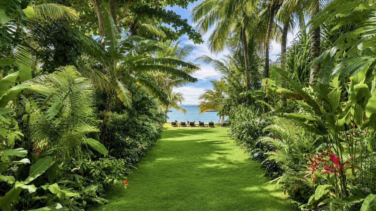 Photo of Outdoor in Barra Grande