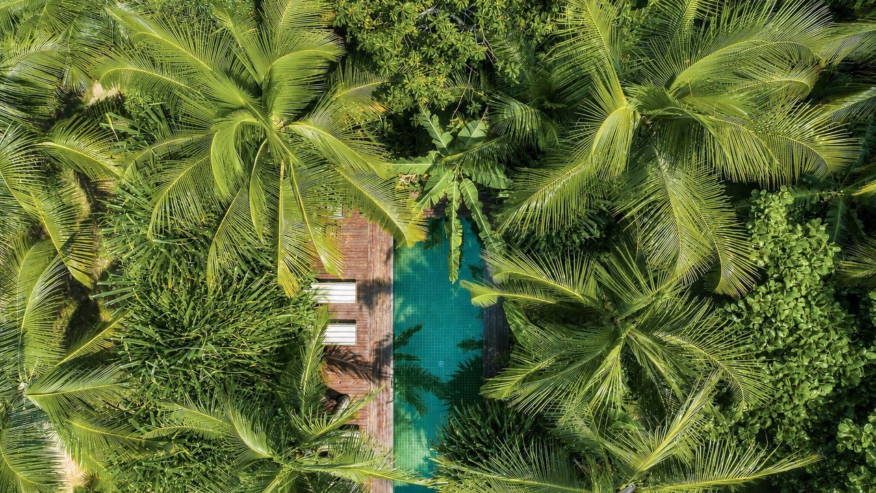 Photo of Outdoor in Barra Grande