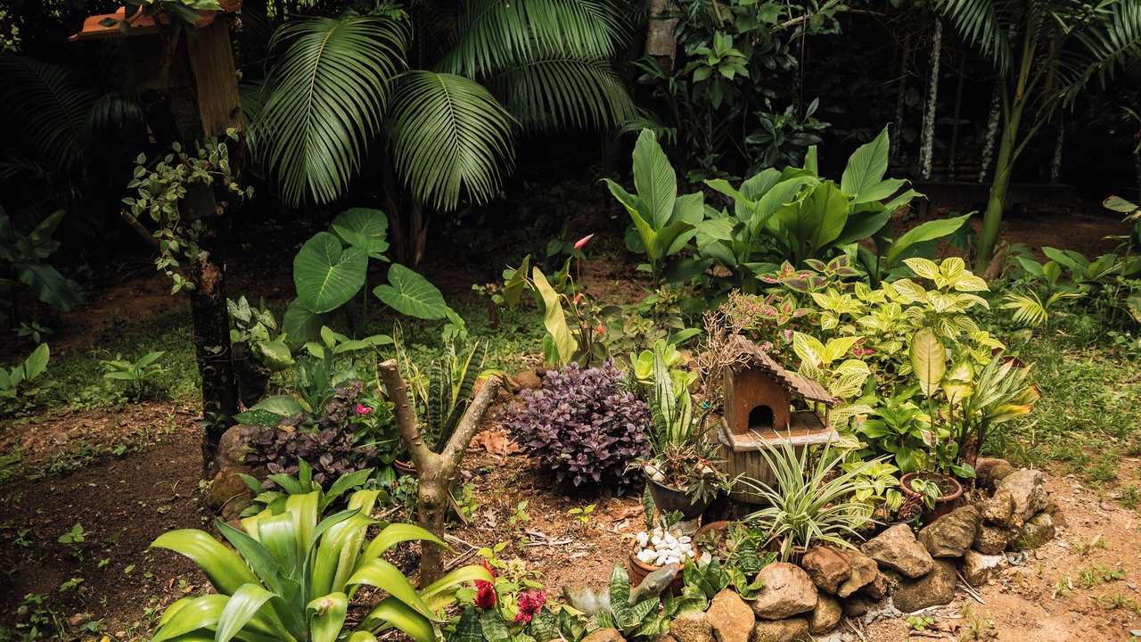 Photo of Outdoor in Sao Joao Batista