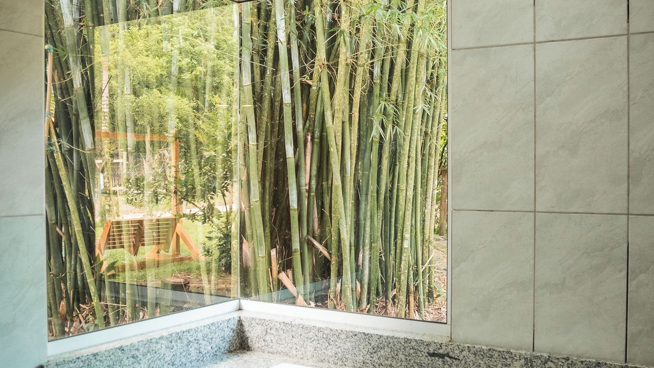 Photo of Bathroom in Sao Joao Batista