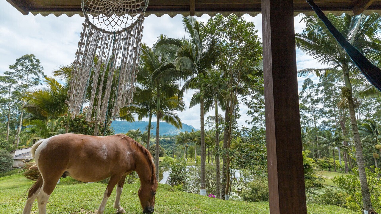 Photo of Outdoor in Rio do Sul