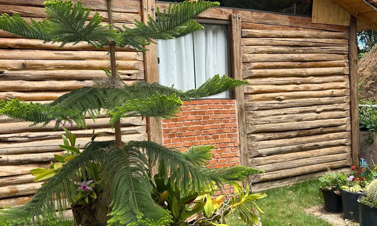 Photo of Outdoor in Caparao National Park