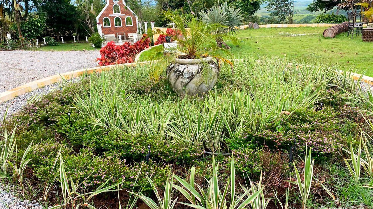 Photo of Outdoor in Primavera