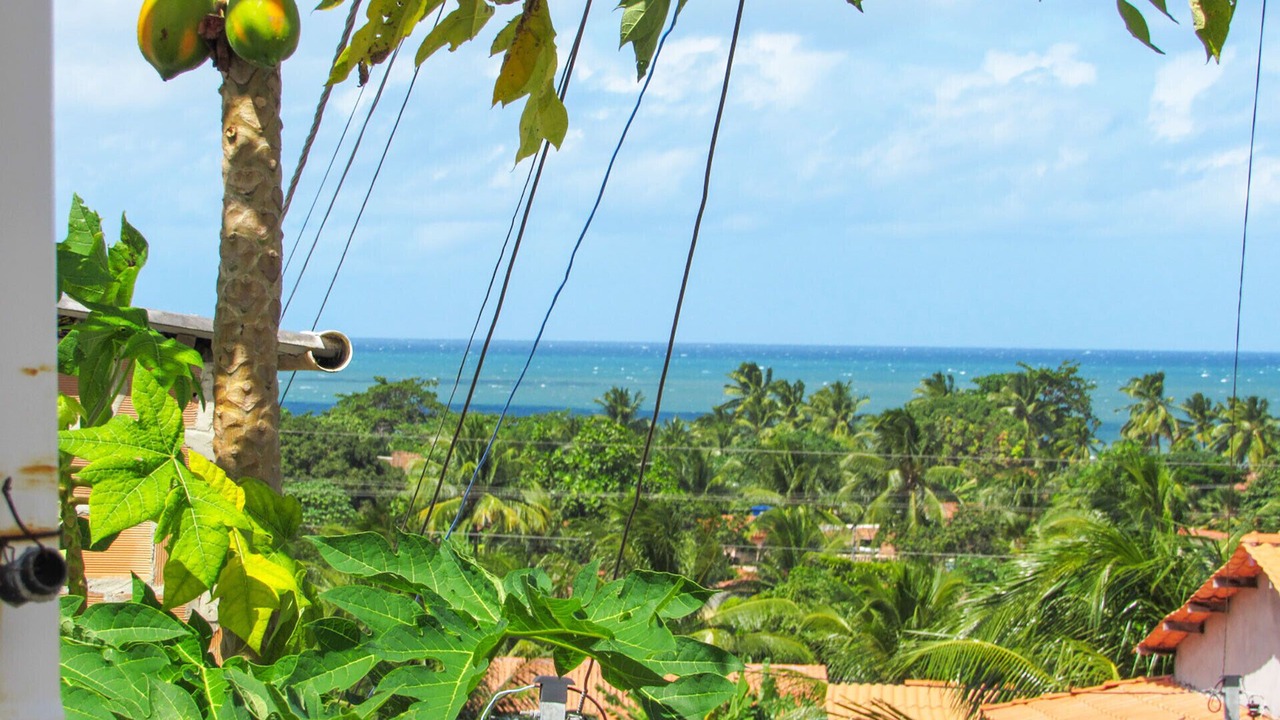 Photo of Outdoor in Vera Cruz
