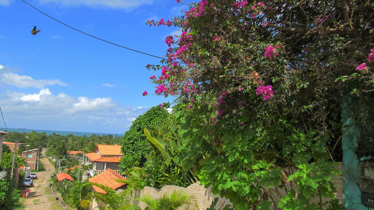 Photo of Outdoor in Vera Cruz