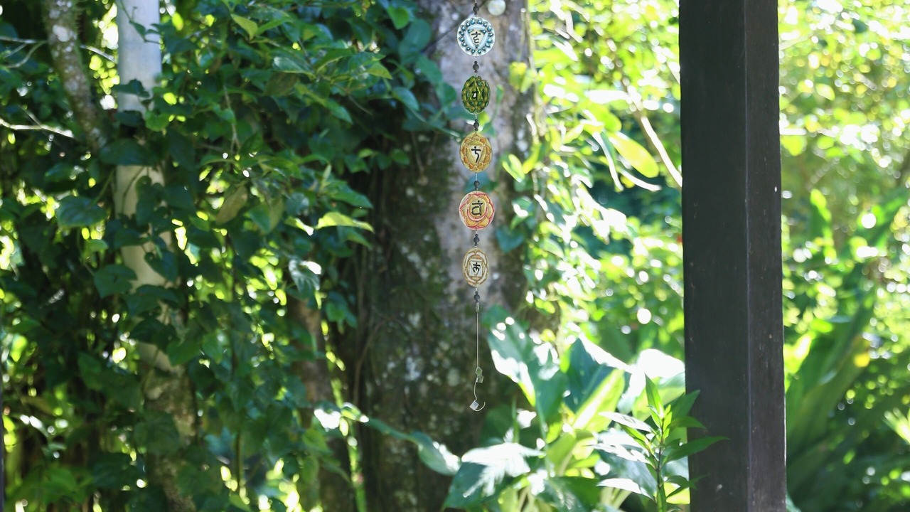 Photo of Outdoor in Camburi