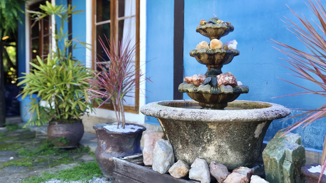 Photo of Outdoor in Camburi