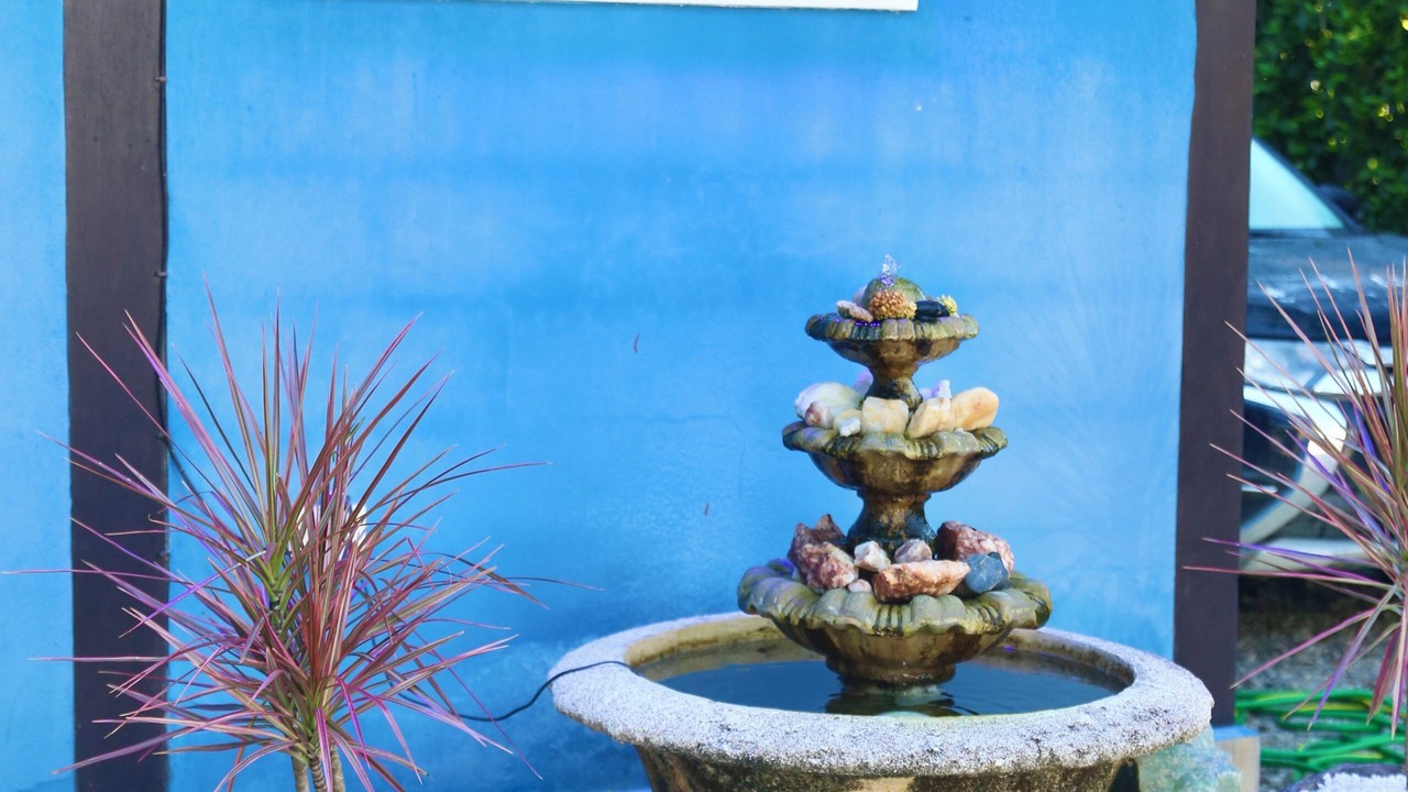 Photo of Outdoor in Camburi