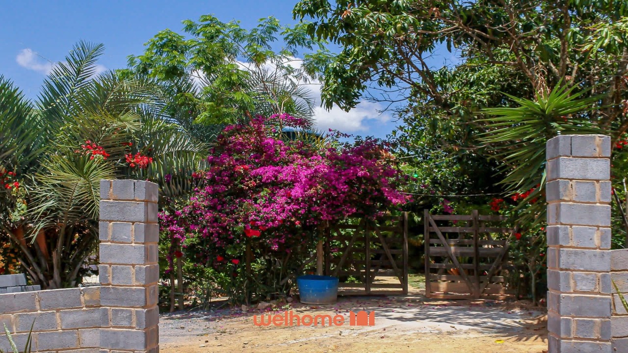 Photo of Outdoor in Palmeiras