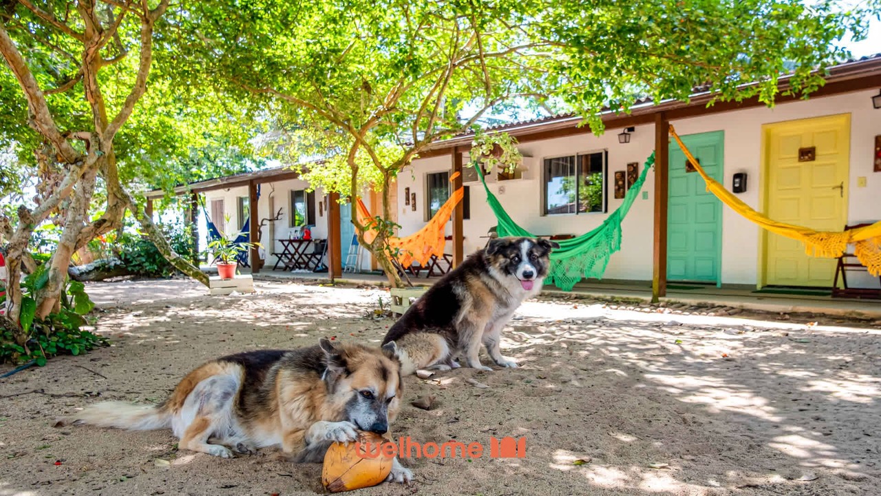 Photo of Outdoor in Praia Formosa