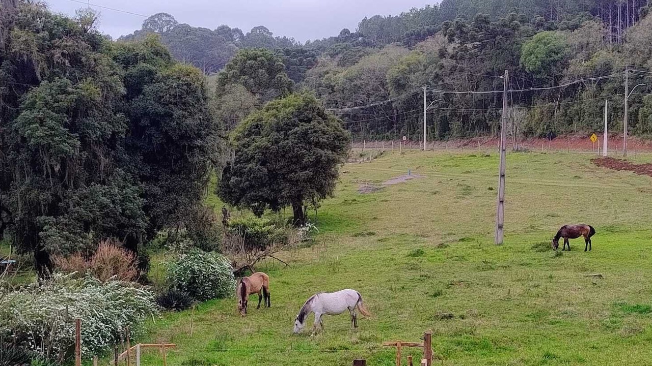 Photo of Others in Canela