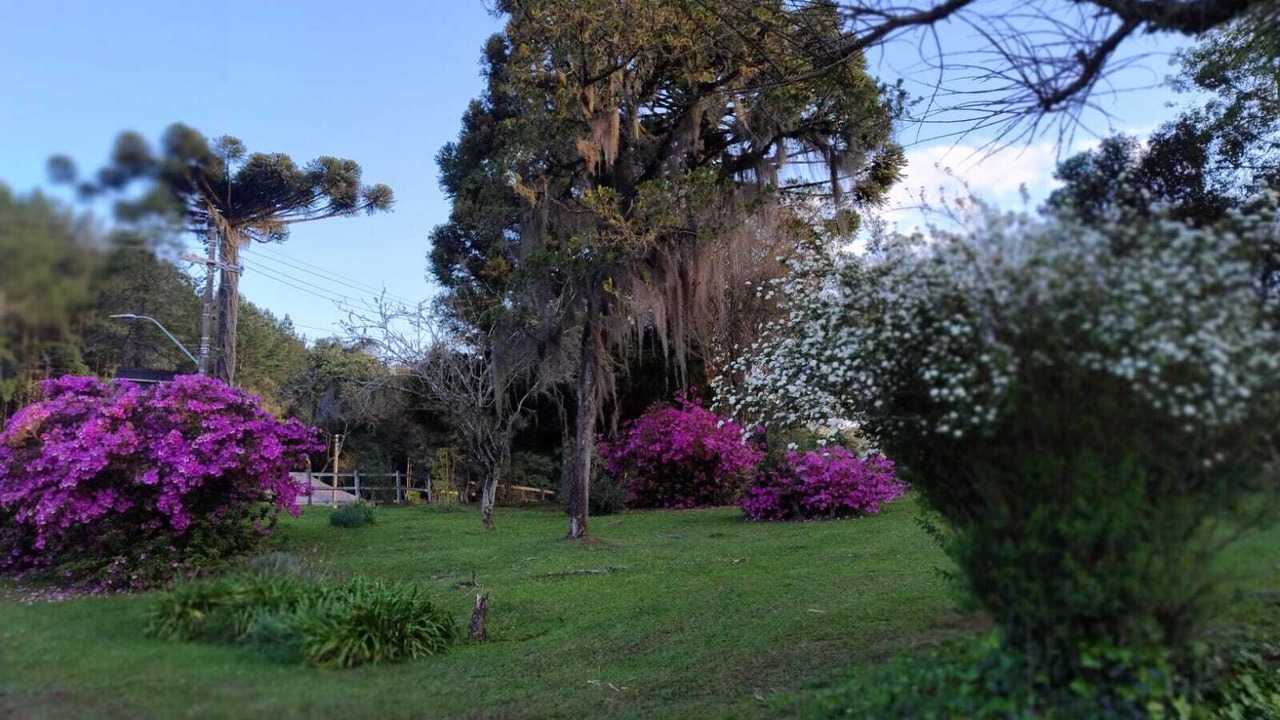 Photo of Outdoor in Canela