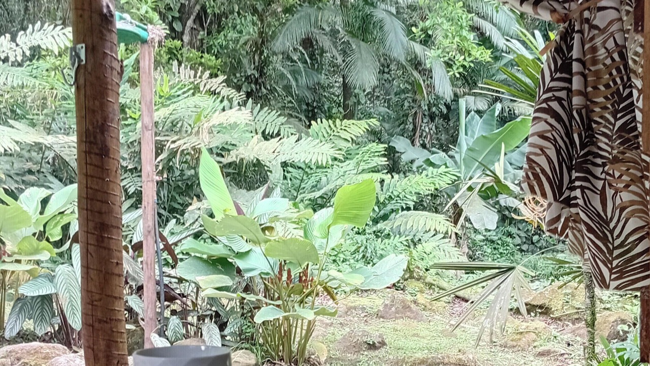 Photo of Outdoor in Paraty