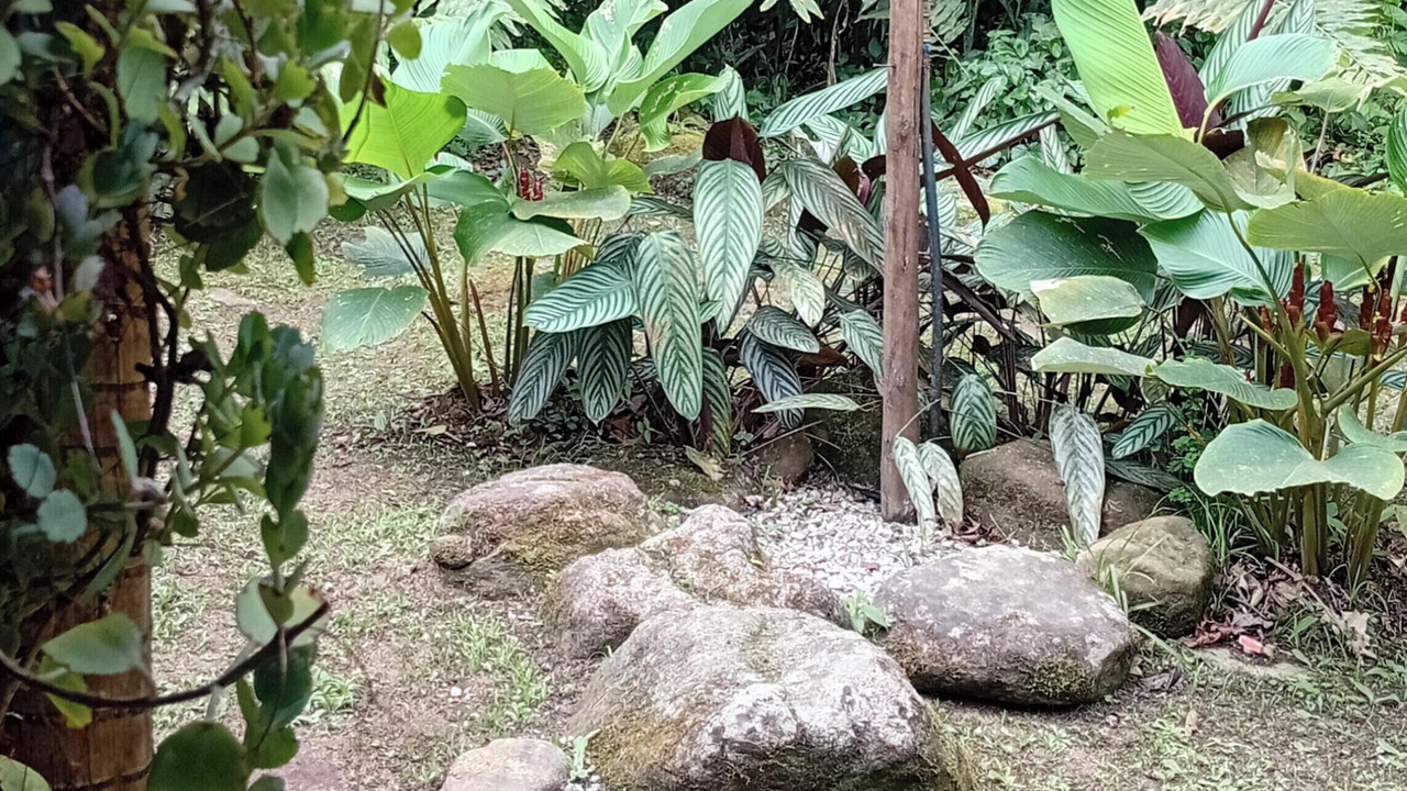 Photo of Outdoor in Paraty
