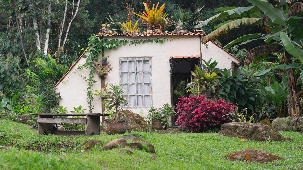 Photo of Outdoor in Paraty