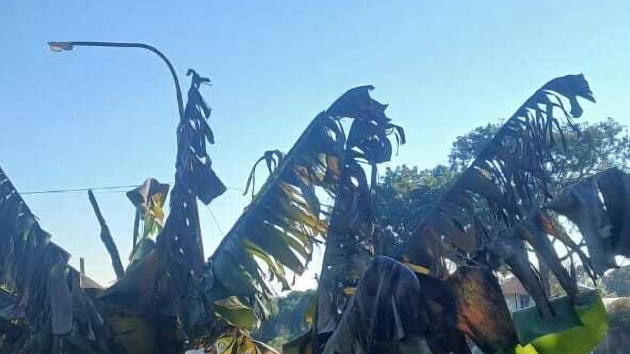 Photo of Outdoor in San Ignacio