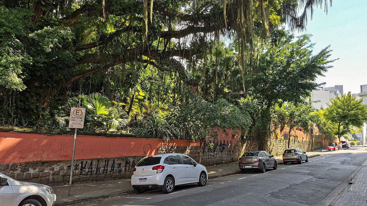 Photo of Others in Sao Vicente