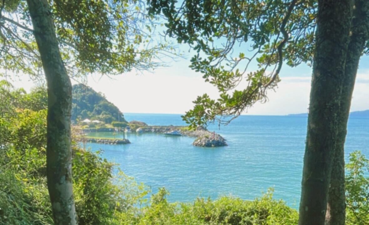 Photo of Others in Tabuleiro dos Oliveiras