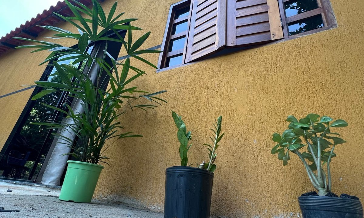 Photo of Outdoor in Cavalcante