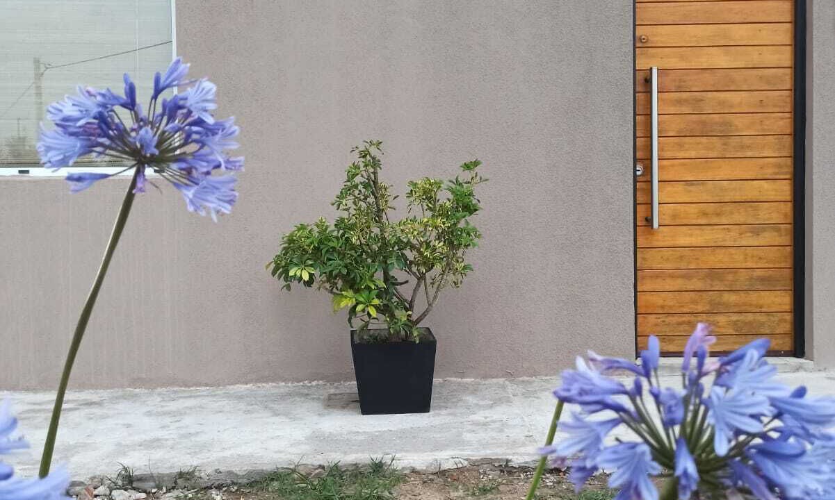 Photo of Outdoor in Camet Norte