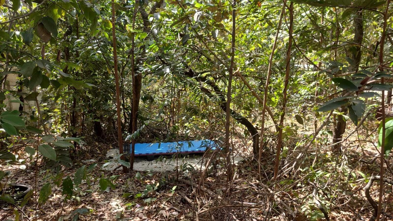 Photo of Outdoor in Pirenopolis