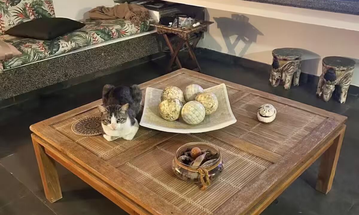 Photo of Livingroom in Jacuma