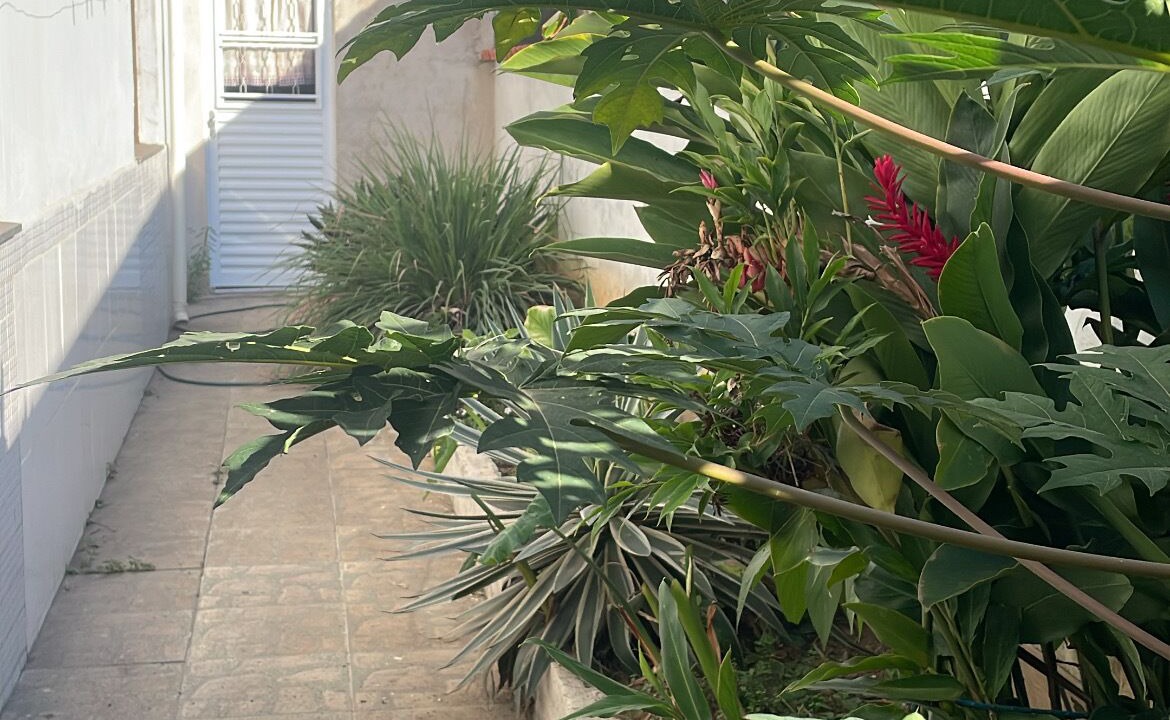 Photo of Outdoor in Bethania