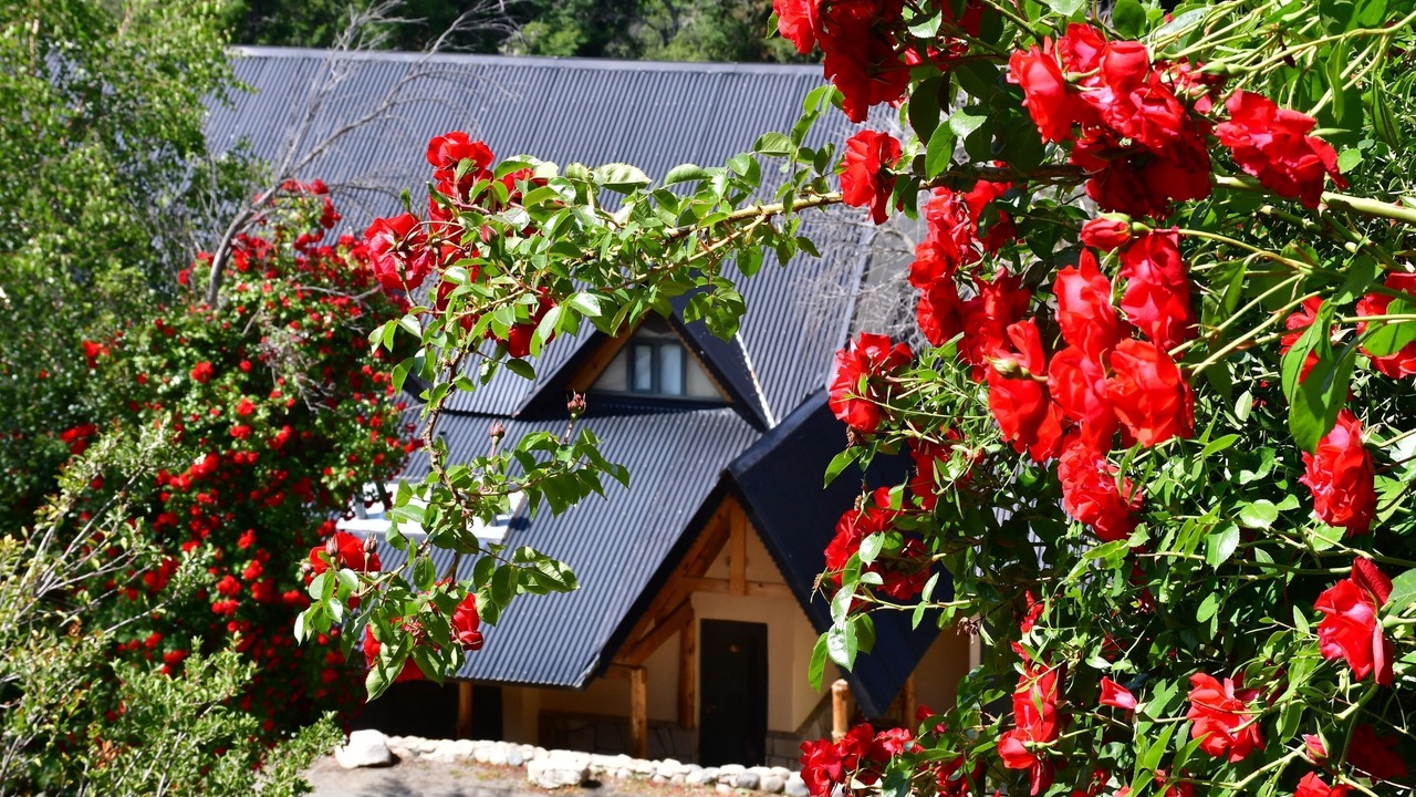 Photo of Outdoor in Villa Pehuenia