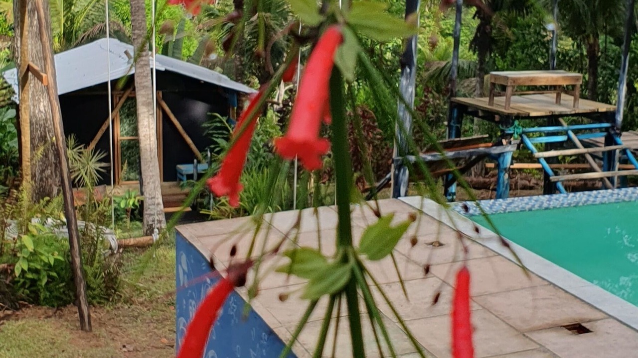 Photo of Outdoor in Porto Seguro