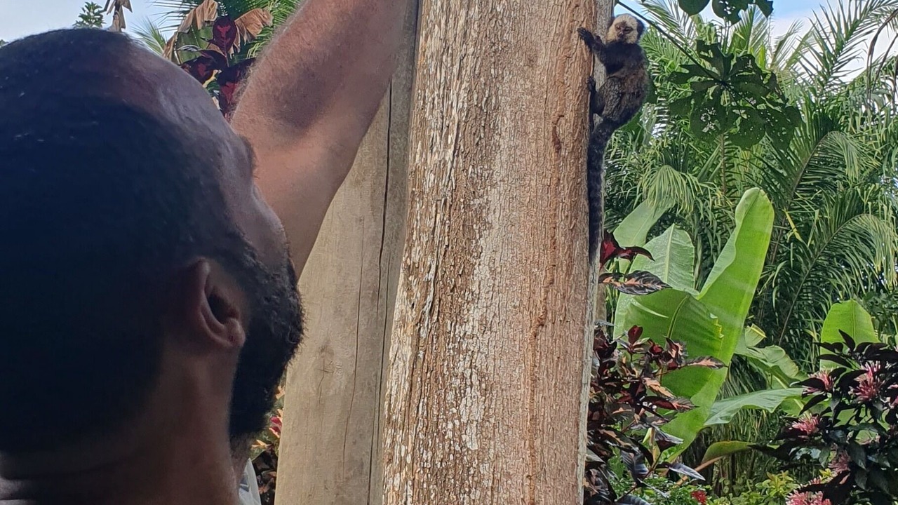 Photo of Others in Porto Seguro