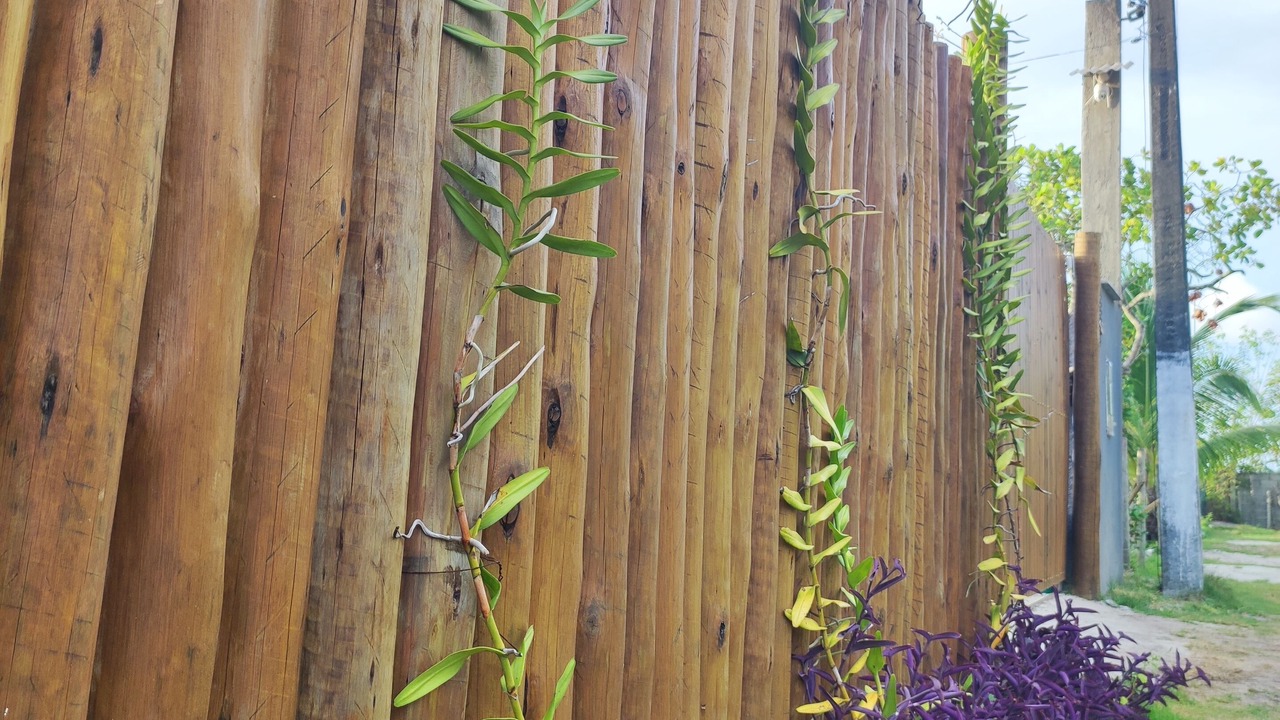 Photo of Outdoor in Barra Grande