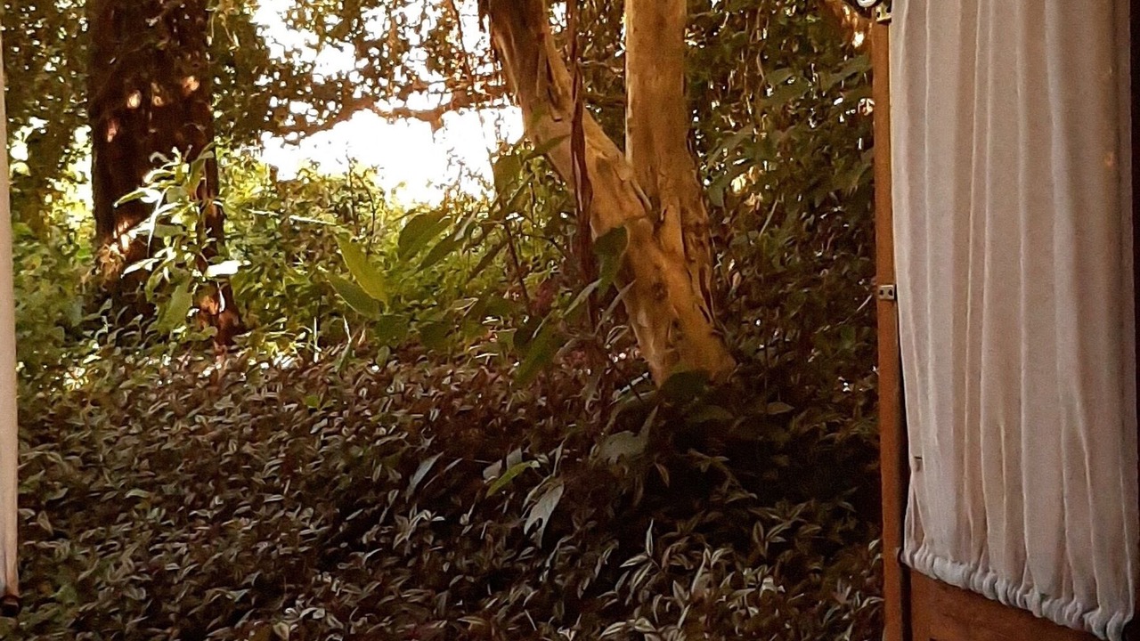 Photo of Outdoor in Florianopolis
