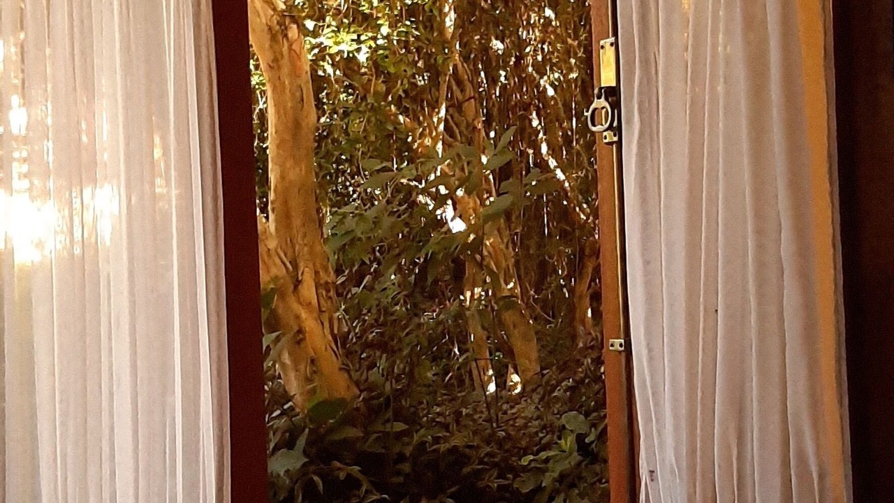 Photo of Outdoor in Florianopolis