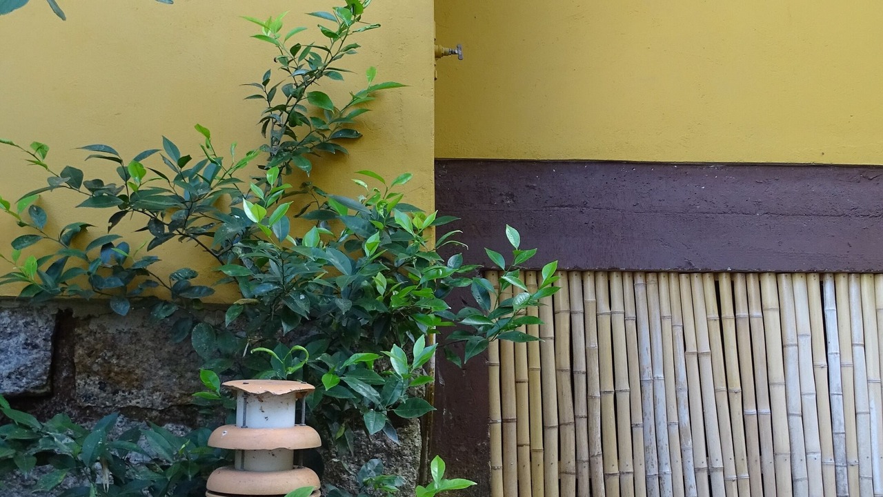 Photo of Outdoor in Florianopolis