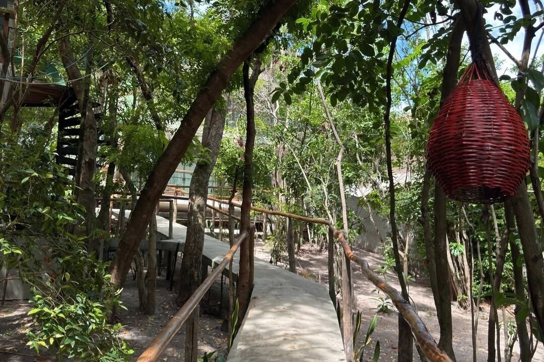 Photo of Outdoor in Pipa