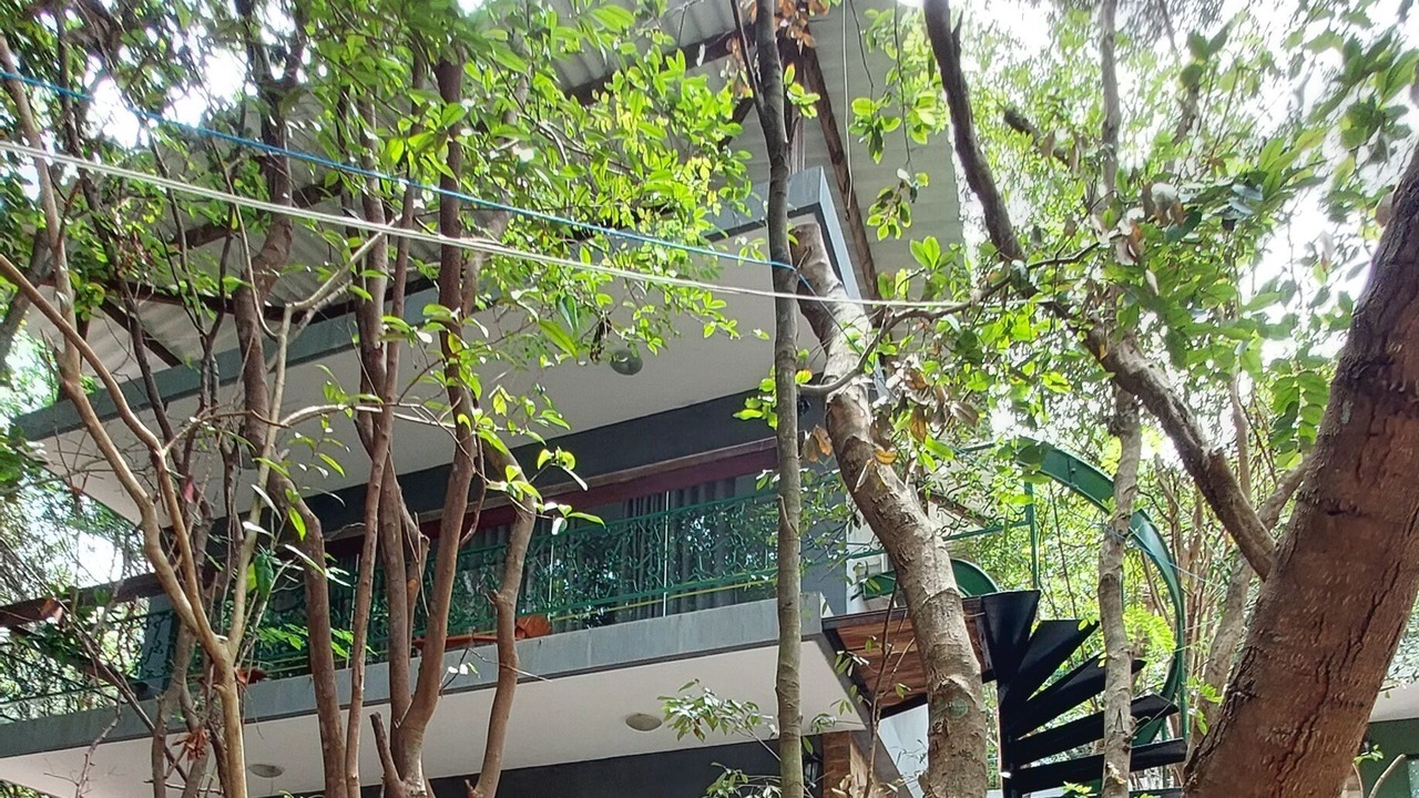 Photo of Outdoor in Pipa
