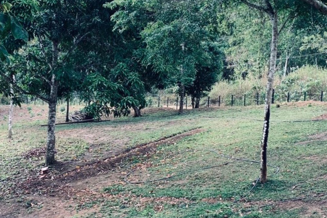 Photo of Patio Balcony in Guaramiranga