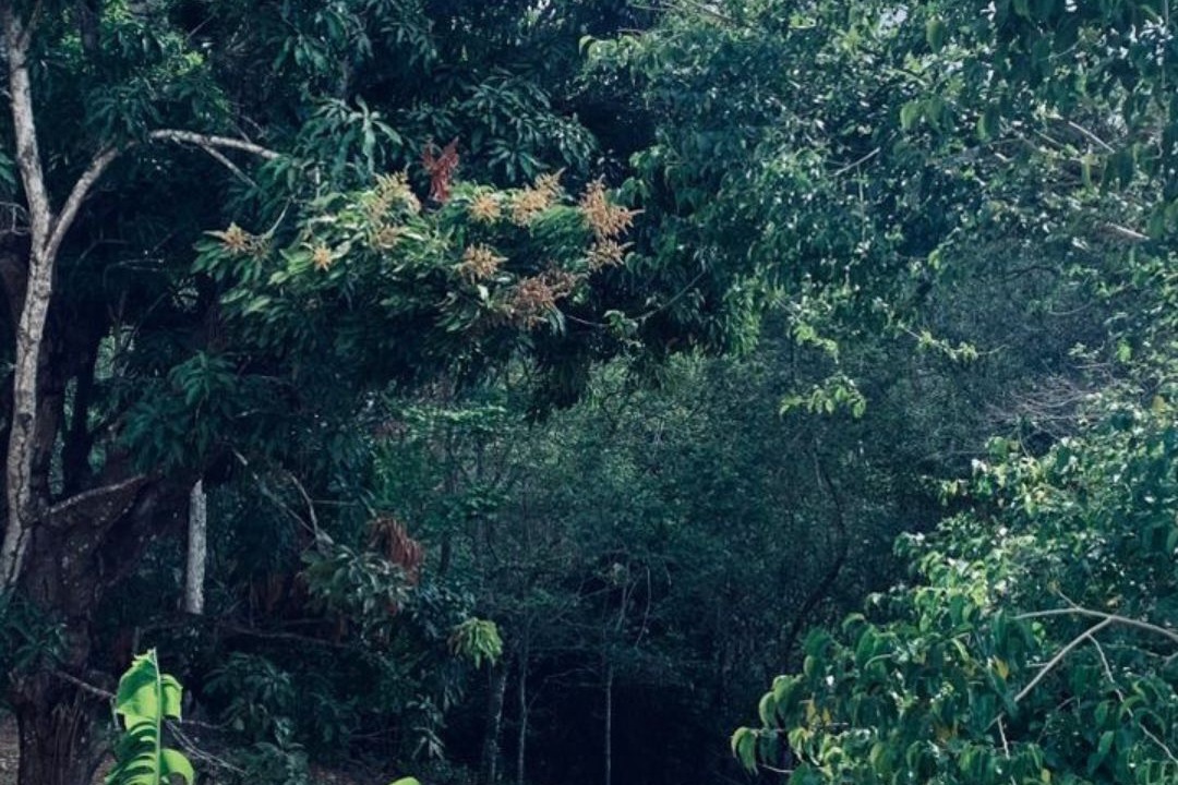 Photo of Patio Balcony in Guaramiranga