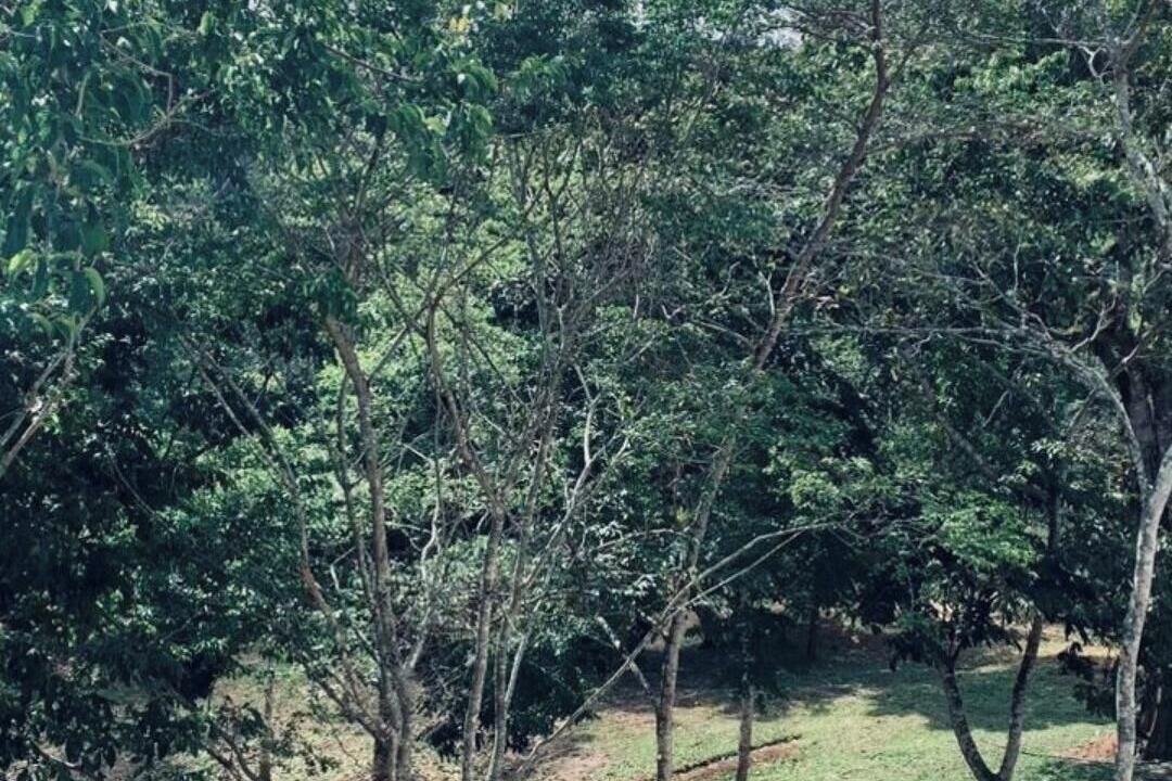 Photo of Patio Balcony in Guaramiranga