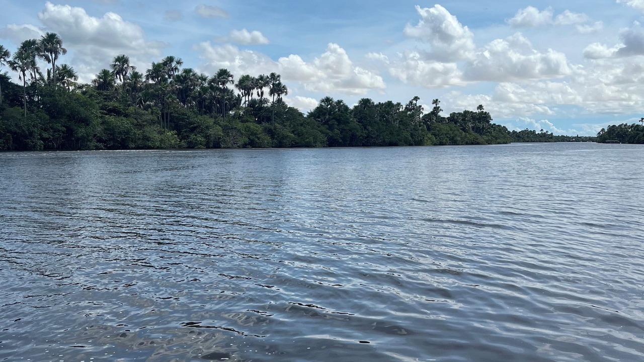 Photo of Others in Barreirinhas