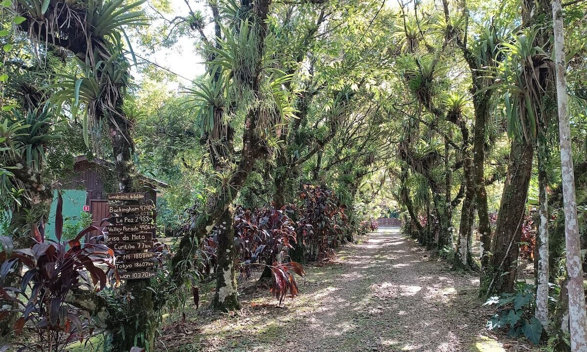 Photo of Outdoor in Morretes