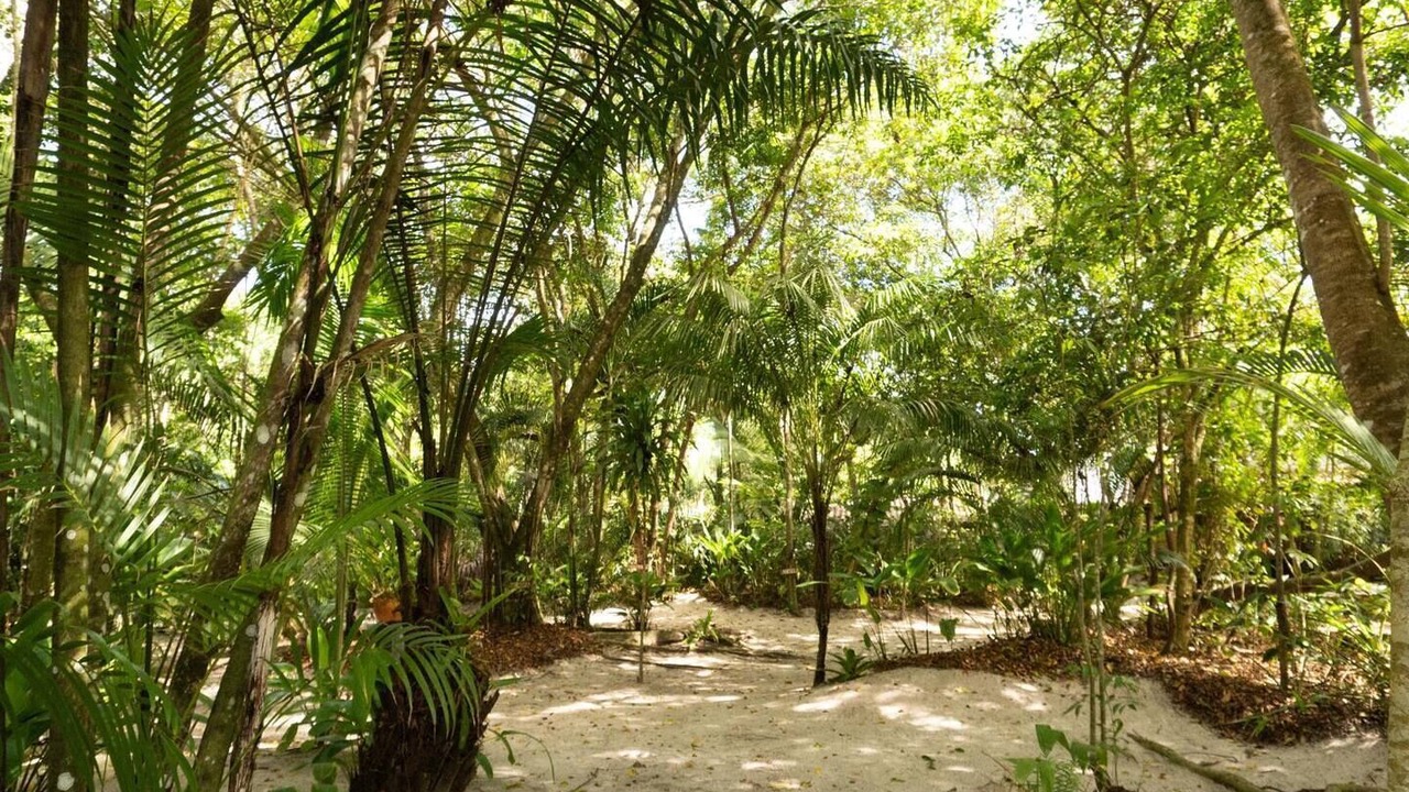Photo of Others in Serra Grande