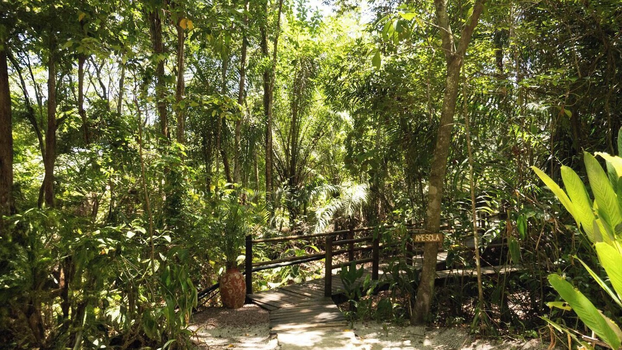 Photo of Others in Serra Grande