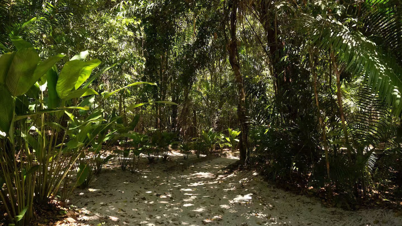 Photo of Others in Serra Grande