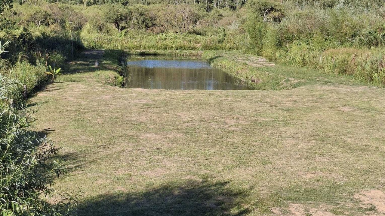 Photo of Others in Partido de Tigre
