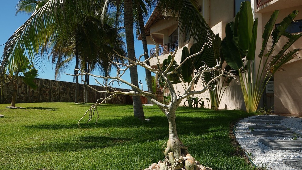 Photo of Outdoor in Caponga