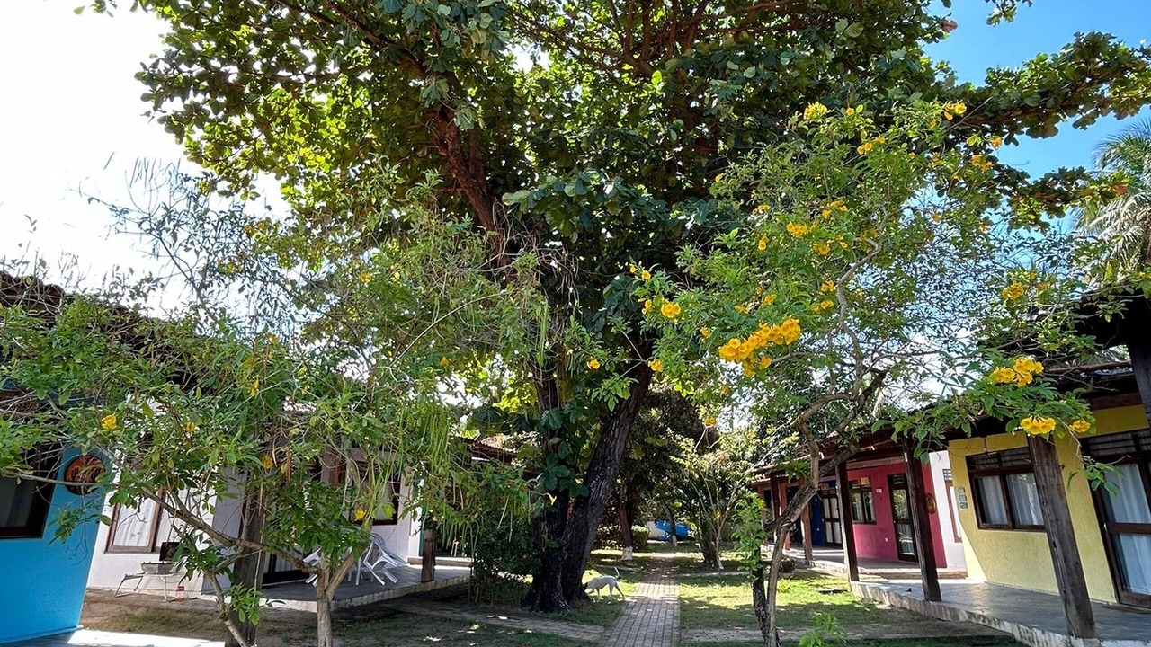 Photo of Outdoor in Barra Grande