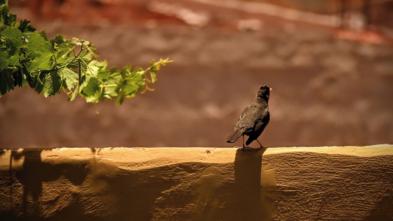 Photo of Others in Humahuaca